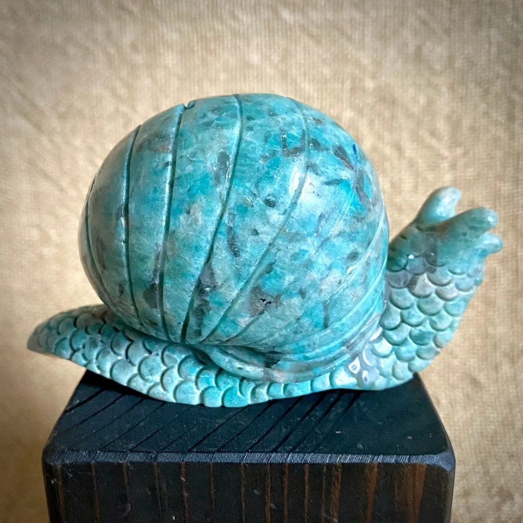 Fabulous Amazonite Snail with Elite Shungite Nugget on Shungite Tile