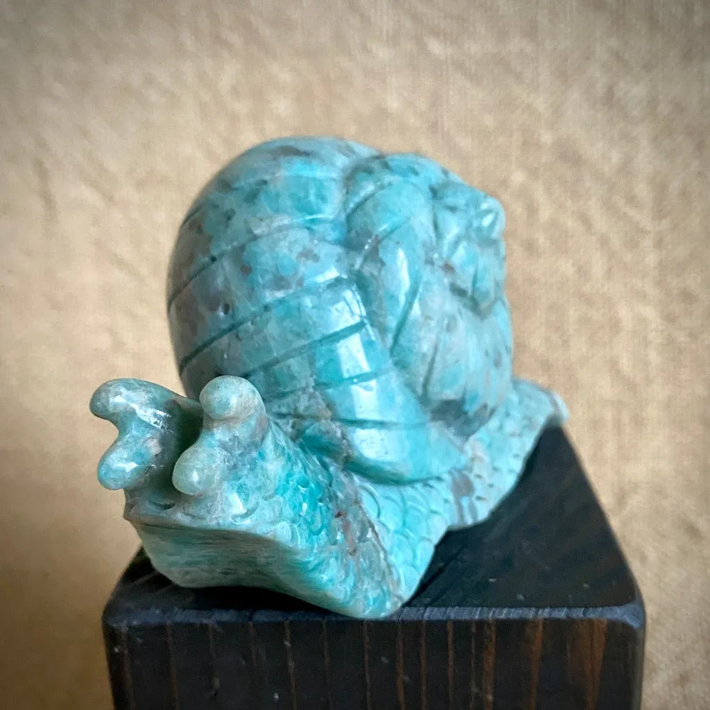 Fabulous Amazonite Snail with Elite Shungite Nugget on Shungite Tile